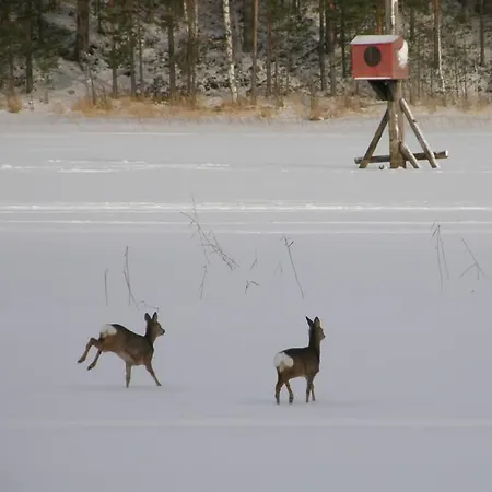 Apartman Big Zander *