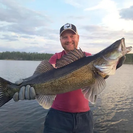 Big Zander Apartman Punkaharju