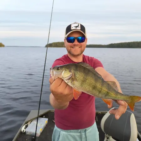 Big Zander Punkaharju