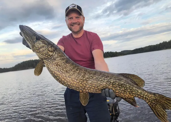 Big Zander بونكاهاريو