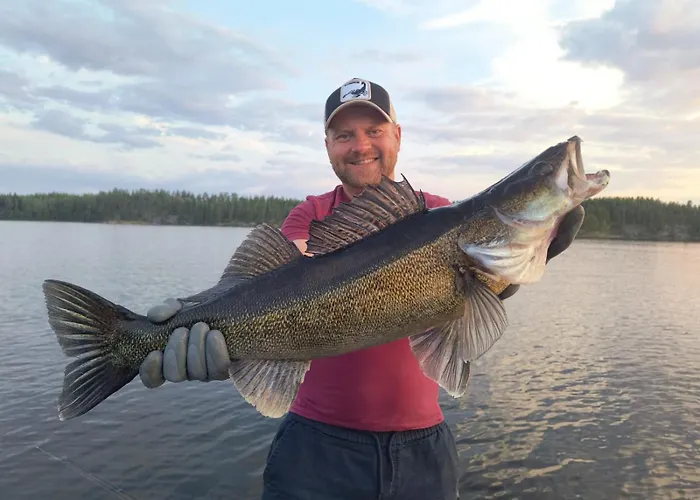 Big Zander شقة بونكاهاريو